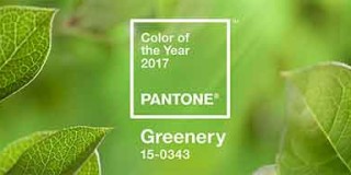 Greenery, color pantone del año 2017