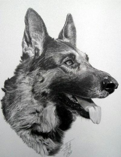 dibujolapiz2 dibujolapiz2