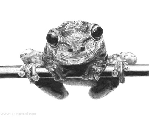 dibujolapiz6 dibujolapiz6