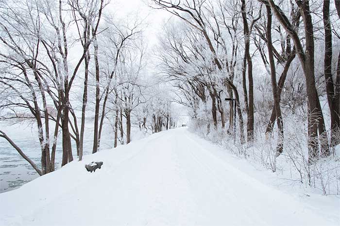 foto-gratis-paisaje-nieve